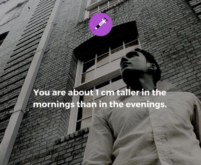 Amezing fact