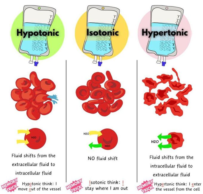 IV Fluids