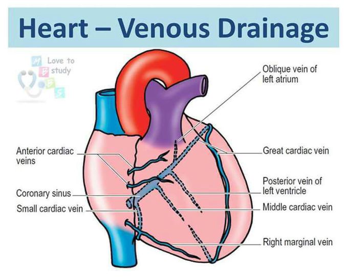 For medical students