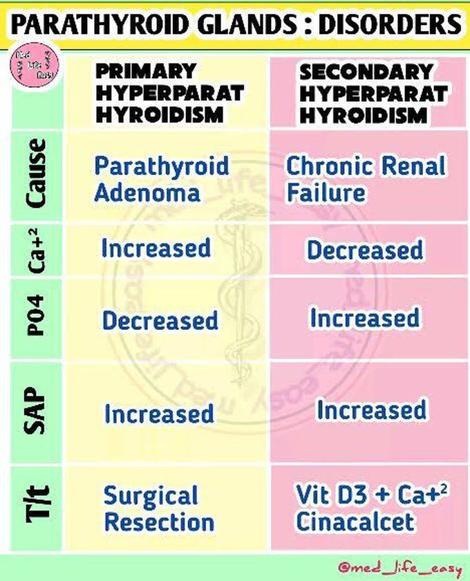 Parathyroid Gland Disorder