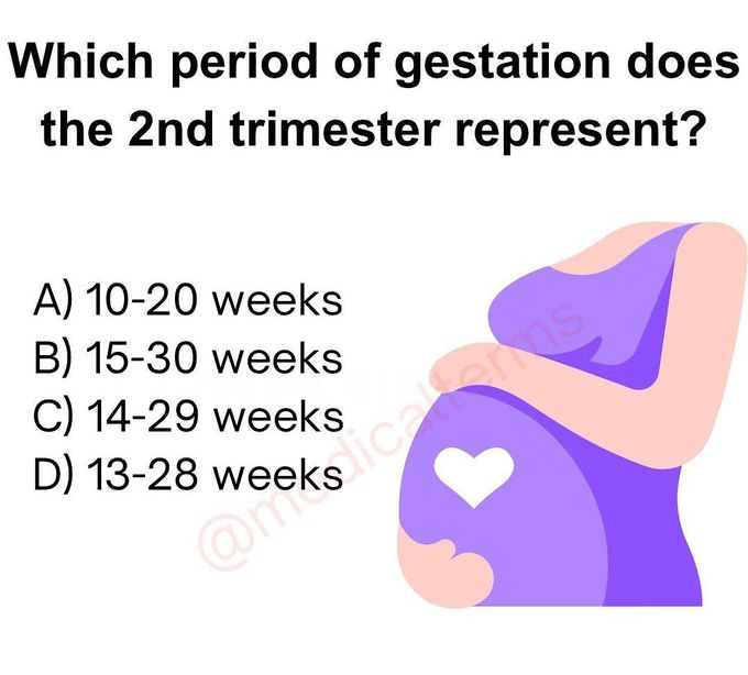Second Trimester