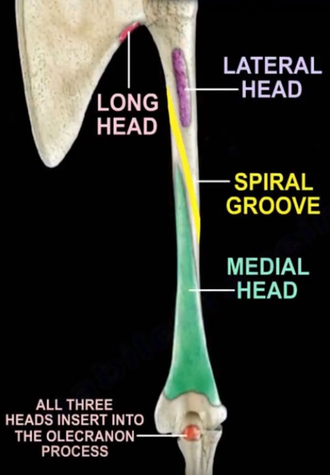 radial groove