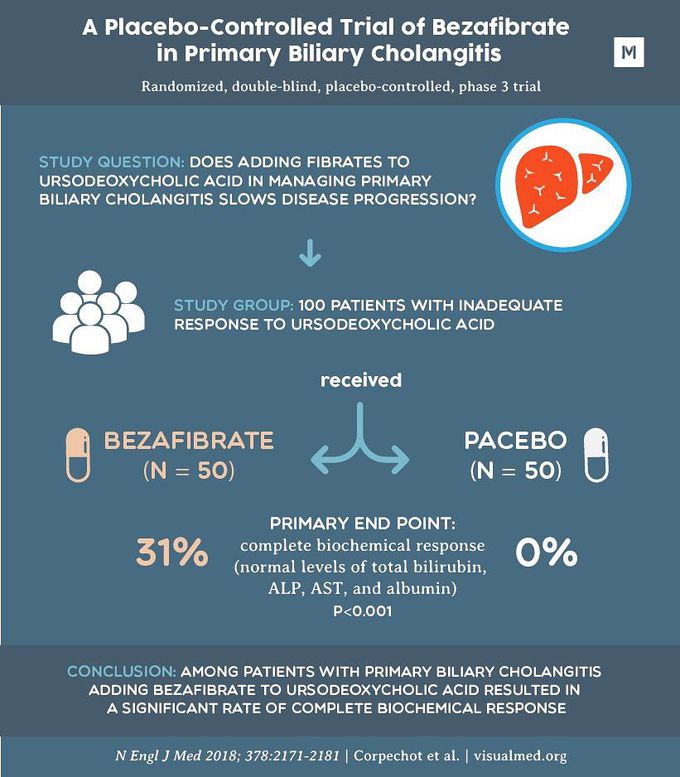 Fibrates in primary biliary cholangisits visual abstract