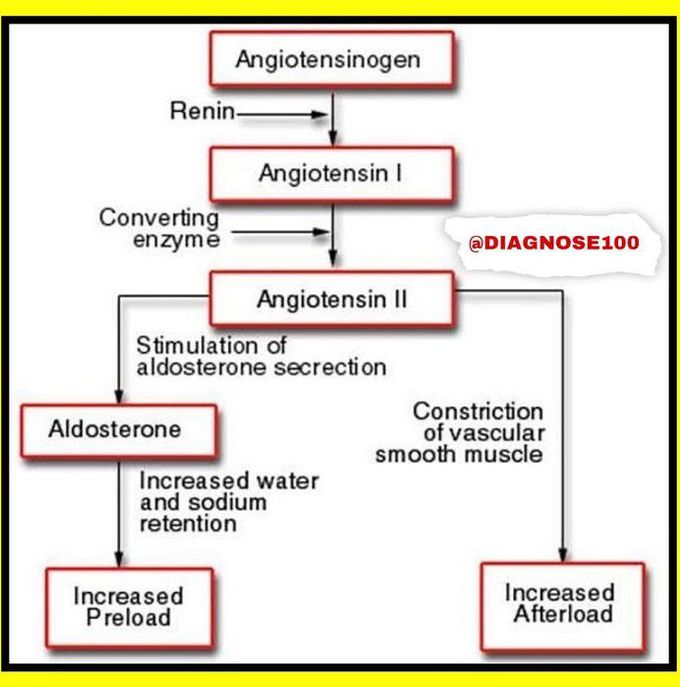 Angiotensinogen