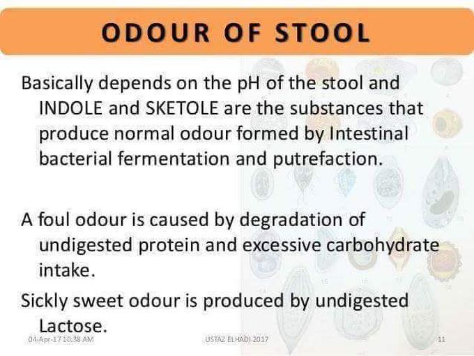 STOOL EXAMINATION