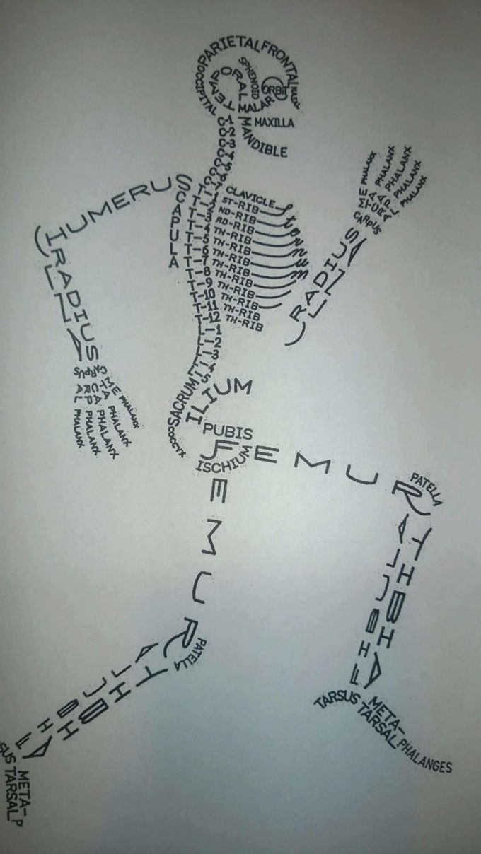 Creative way to teach the human skeleton :)