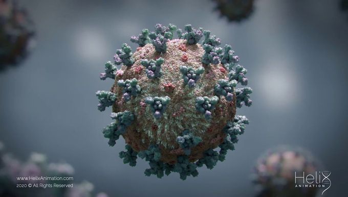 3D Animation: SARS-CoV-2 virus transmission leading to COVID-19