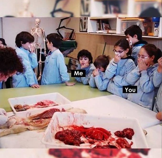 Me in anatomy session 😂🤦🏻‍♀️