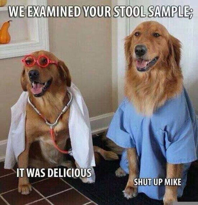 😂🐶💩