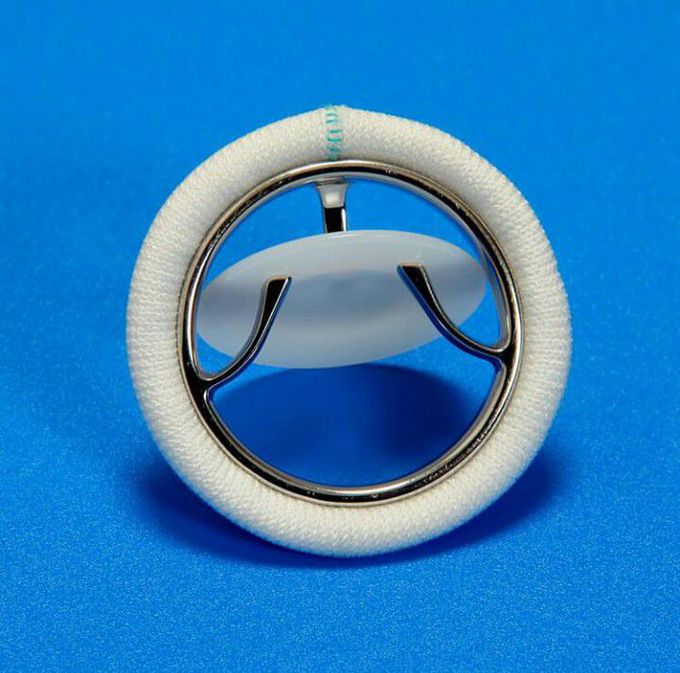 Artificial heart valve!