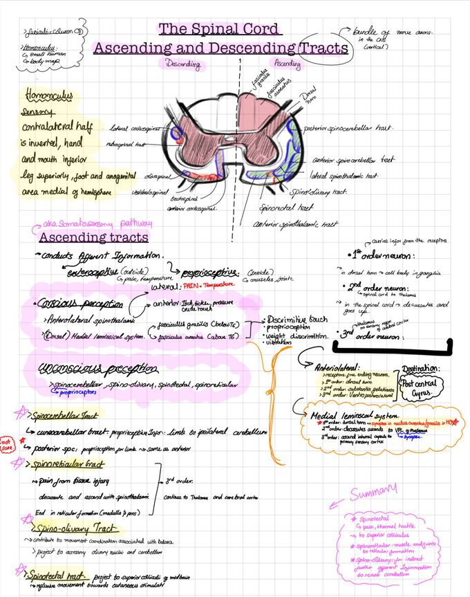 Some notes I thought I should share, feel free to point out my mistakes