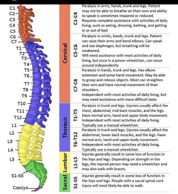 spinalcord injury and their effects on body