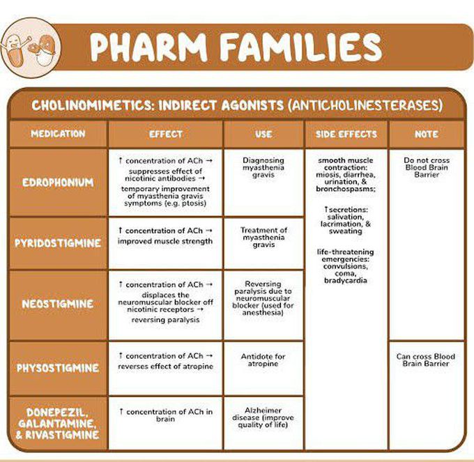 Cholinomimetics: indirect agonist