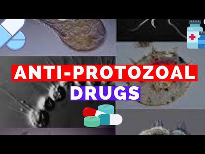 Drugs for protozoal infections - A summary