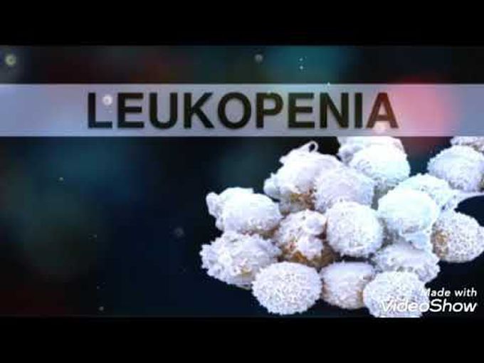 PATHOLOGY OF LEUKOPENIA - Descriptive
