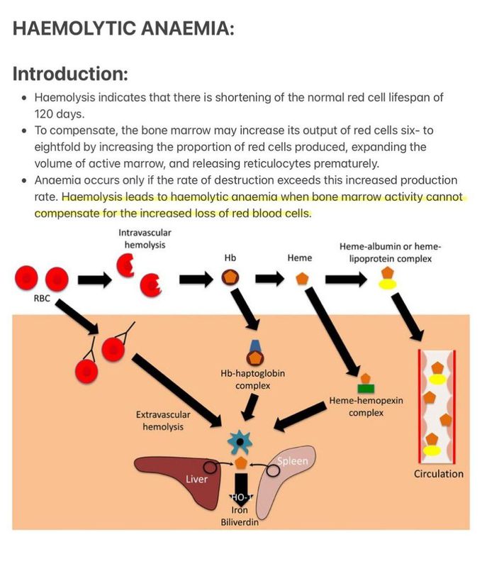 Haemolytic Anemia I