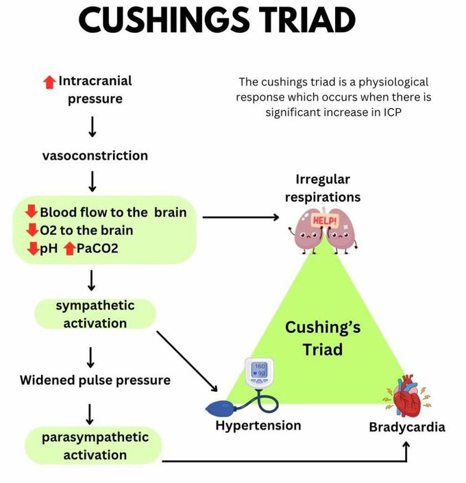 Cushings Triad