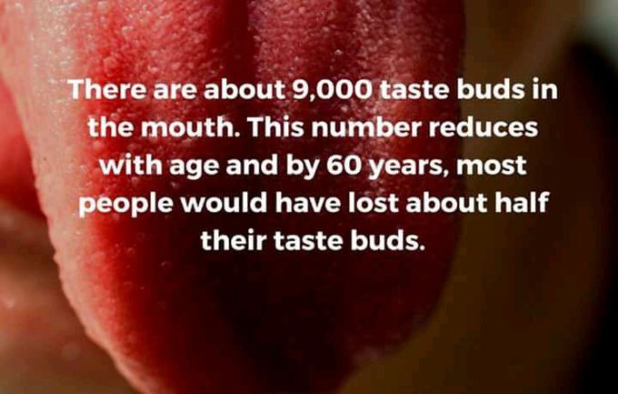 Taste buds...