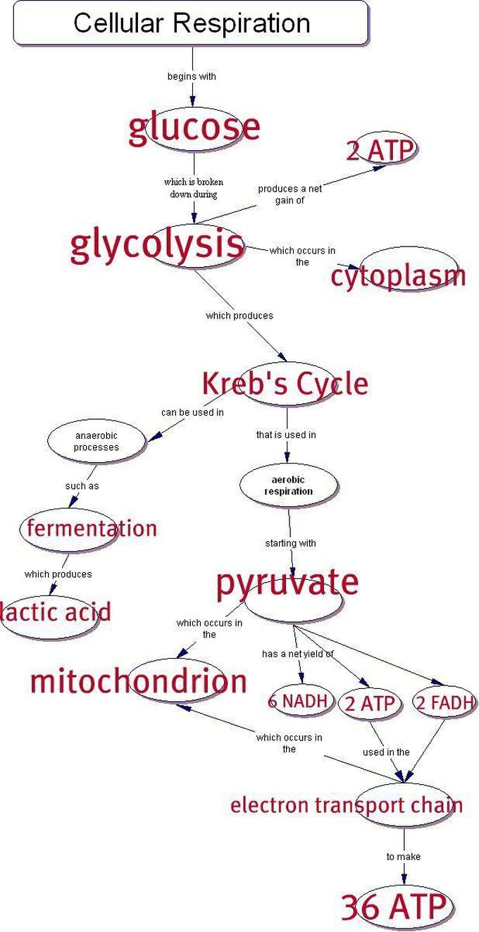 Biochemistry