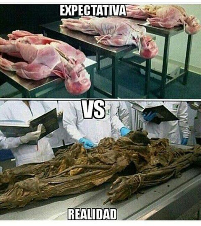 Jajaja me toco la Realidad