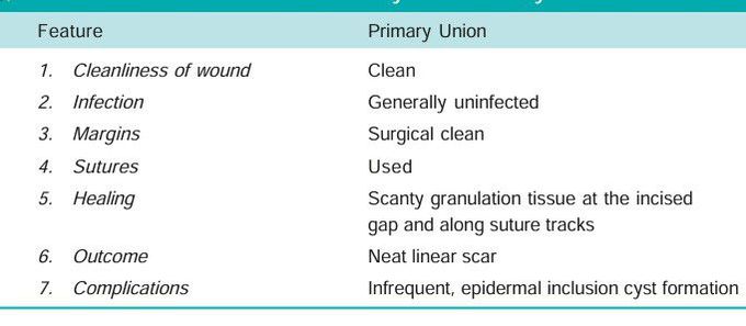 Primary union