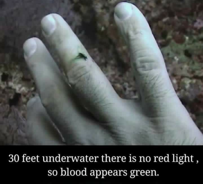 30 feet underwater scene!!