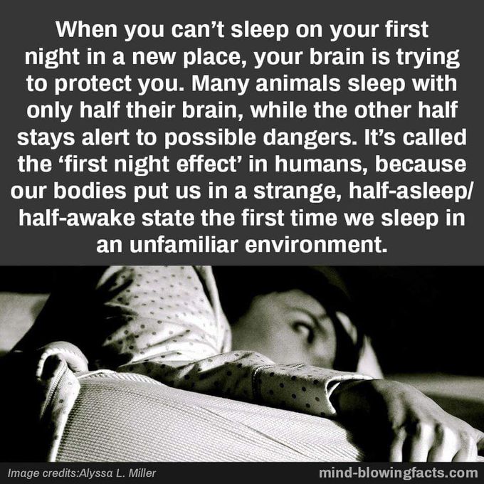 Hence Proven