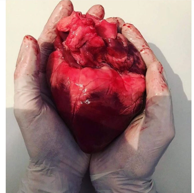 Heart ♥