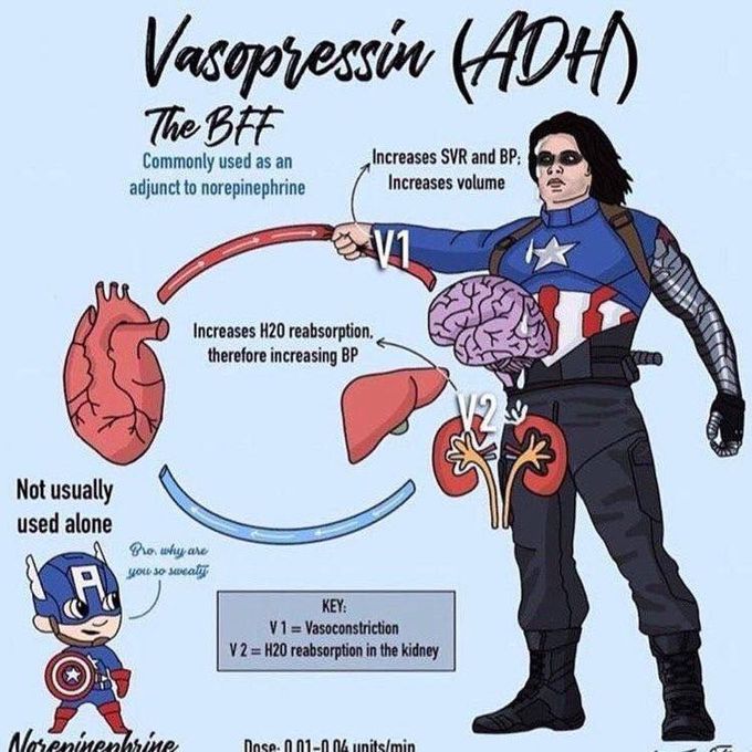 Vasopressin