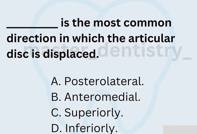 Articular Disc