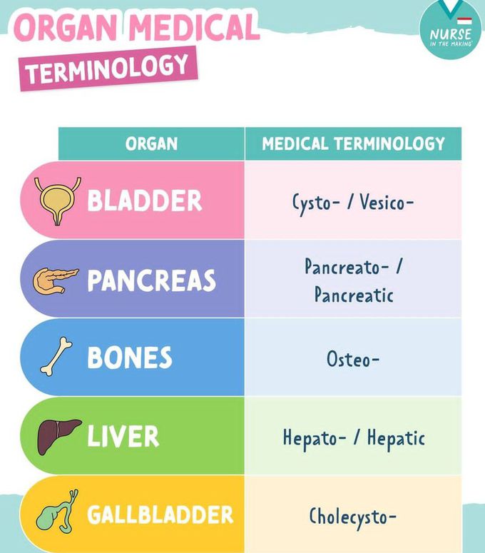 Organ Medical Terminology II