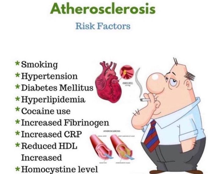 Atherosclerosis risk factors