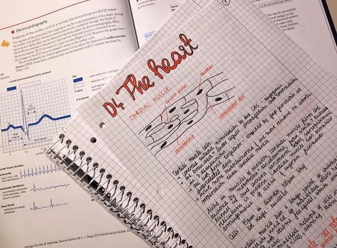 Post number 40012 - MEDizzy