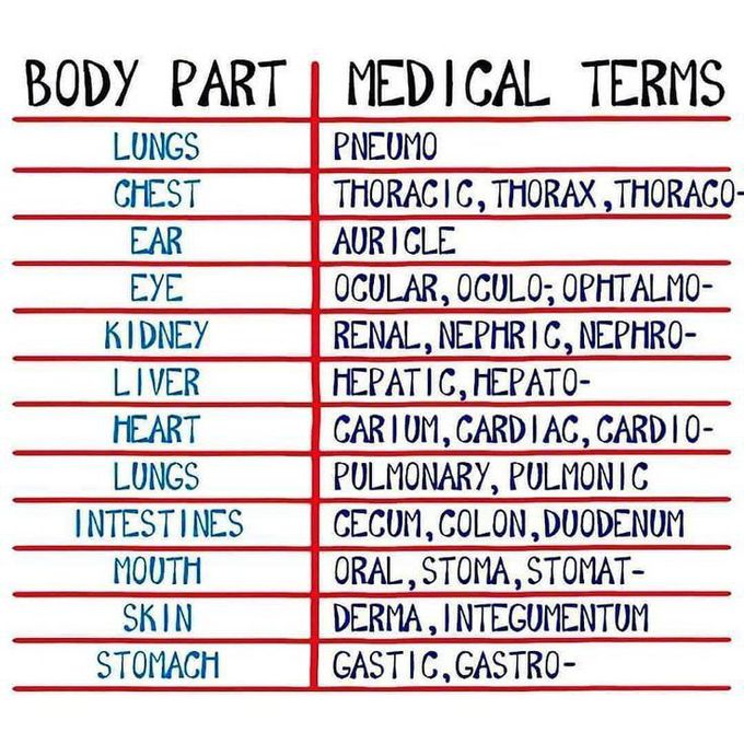 Medical terms used for certain body parts