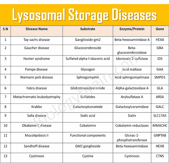 Lysosomal Storage Disease