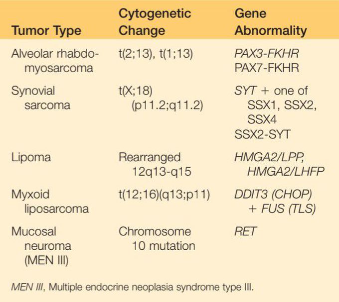 Soft tissue tumors