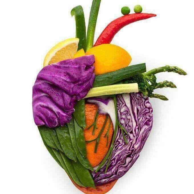 My Vegetarian Heart 🤗
