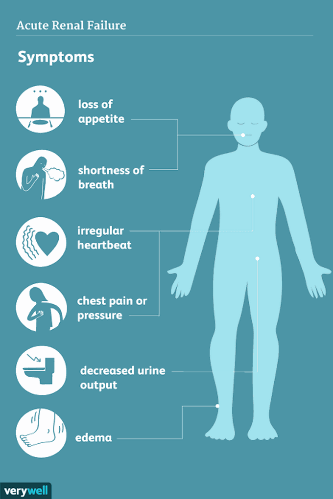 Azotemia symptoms