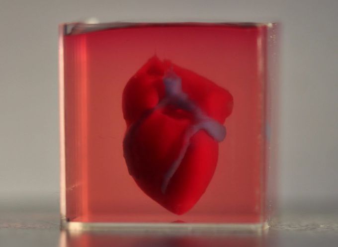 First 3D Printed Vascularized Heart - MEDizzy Journal