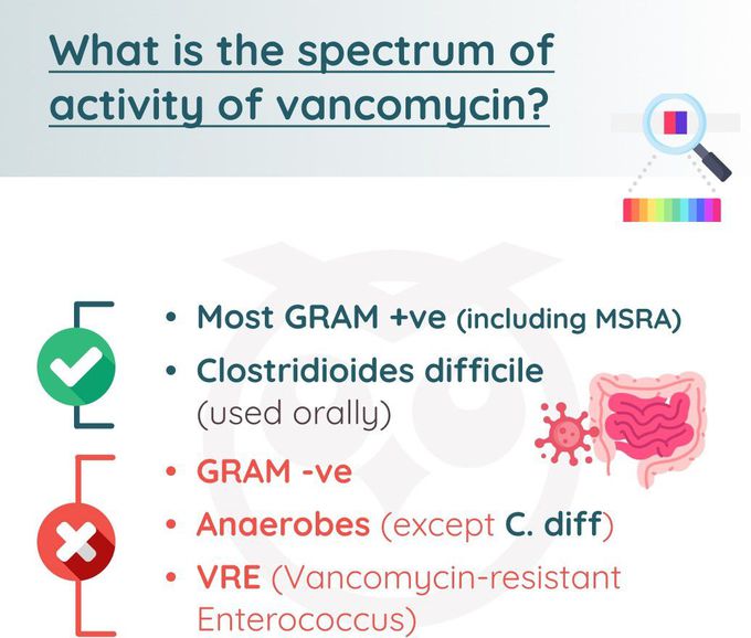 Vancomycin I