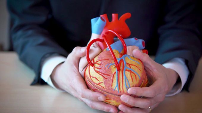 Mechanical vs. biologic heart valve replacements