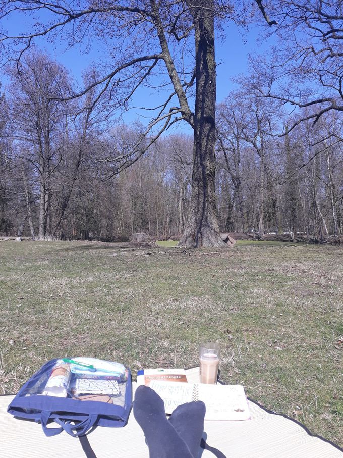 Have a nice study session!