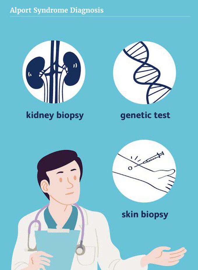 These are the diagnosis of Alport syndrome