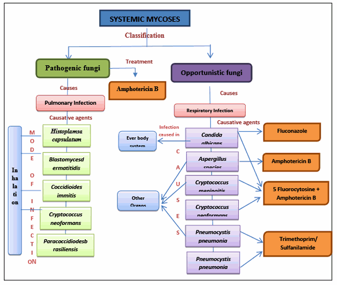 Systemic mycoses classification table