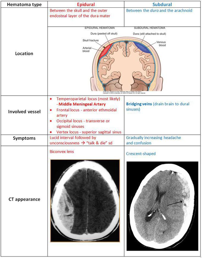 radiyology