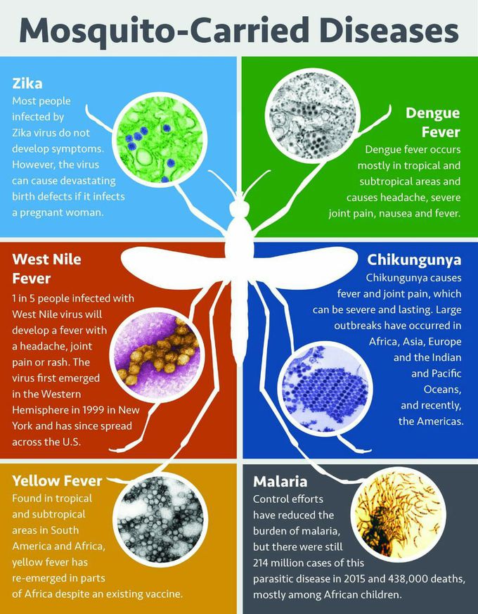 Mosquito-carried disease