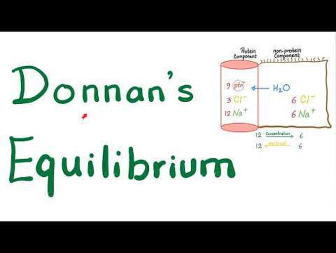 Donnan Equilibrium