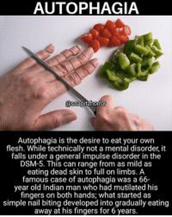 Autophagia