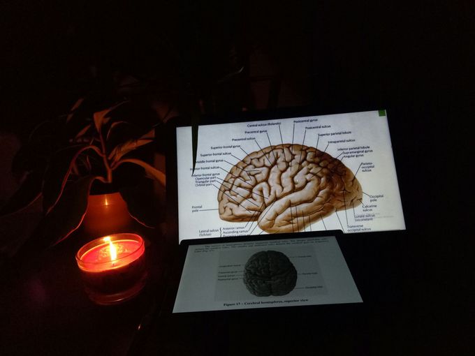 Night study like this