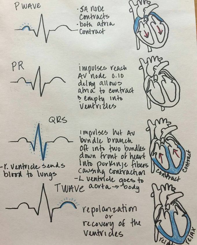 Ecg reading